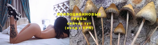 СК Абаза
