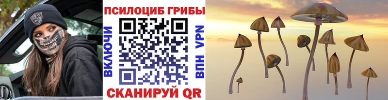 Галлюциногенные грибы прущие грибы  купить  сайты  Гусь-Хрустальный 