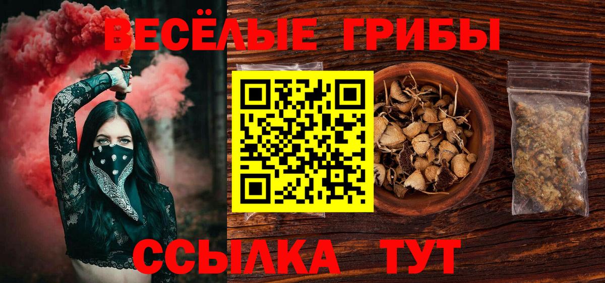 Галлюциногенные грибы мухоморы Гусь-Хрустальный