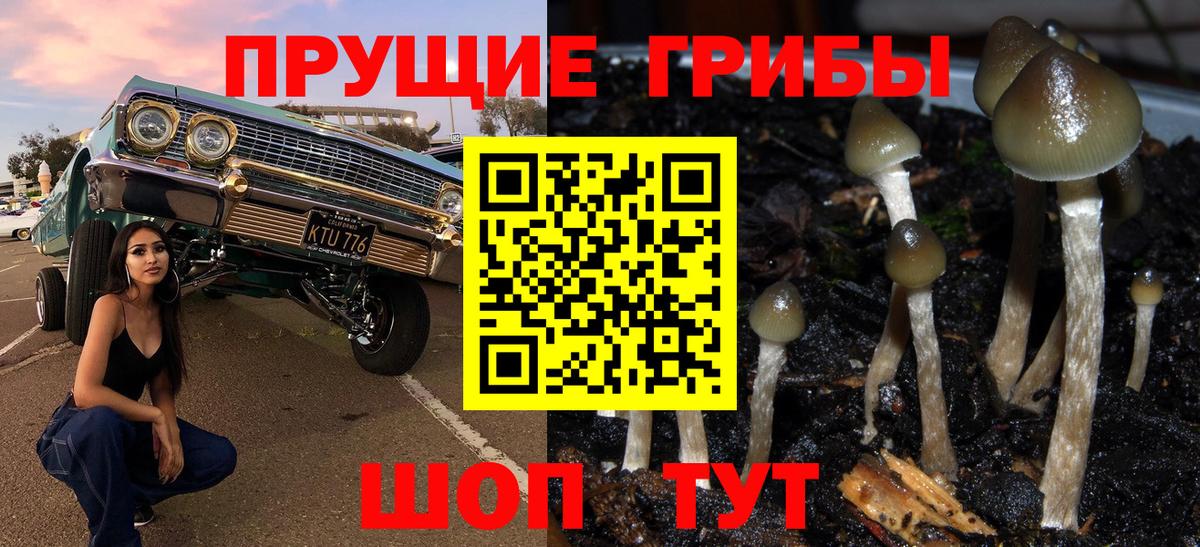Галлюциногенные грибы Psilocybine cubensis  Вход с VPN  Гусь-Хрустальный 